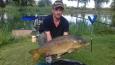 Schub 25 pond