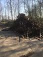 IMG-20200328-WA0003
